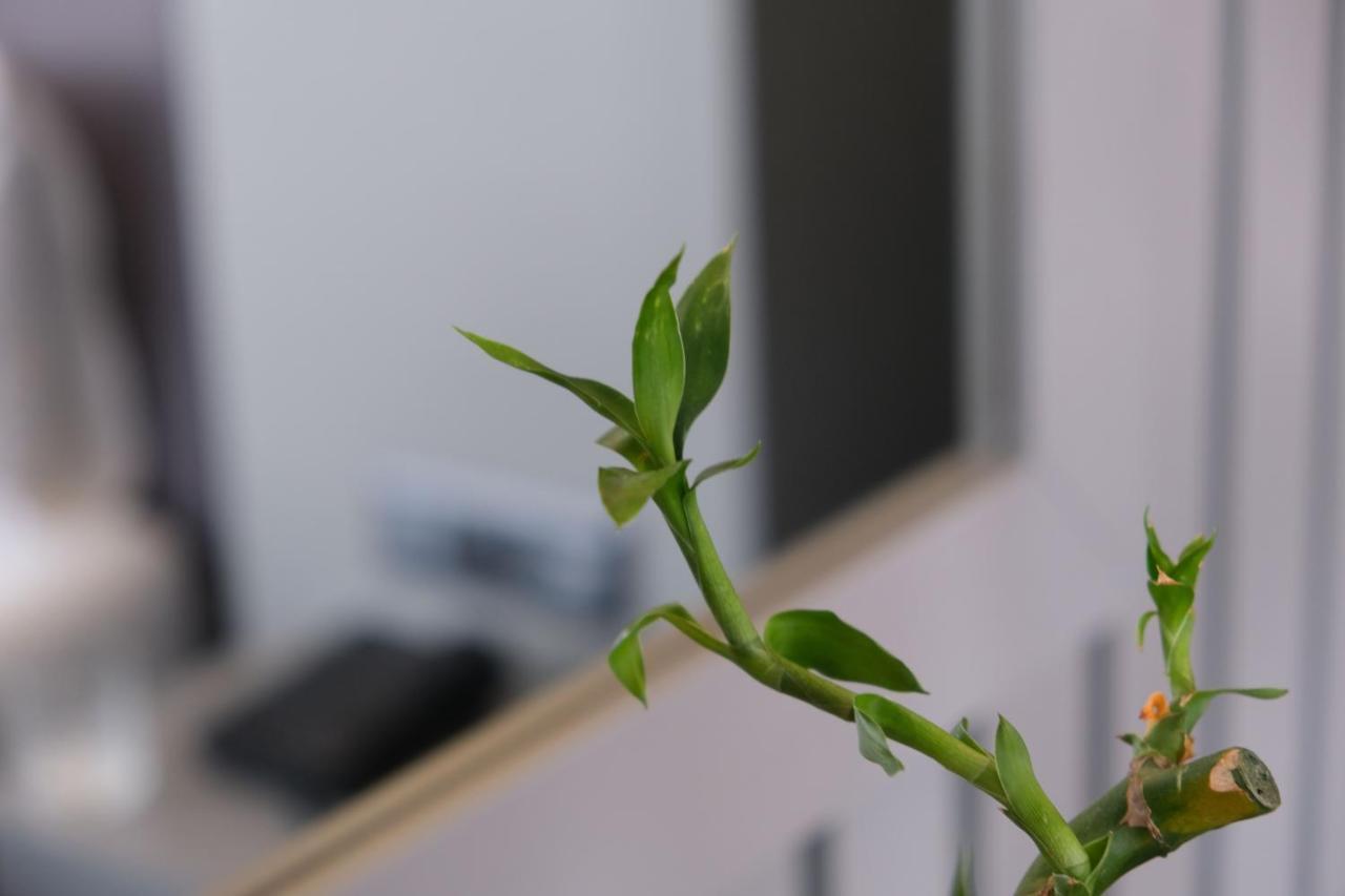 迪伦斯博斯普鲁斯酒店 伊斯坦布尔 外观 照片
